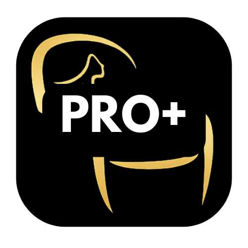 Plano PRO+