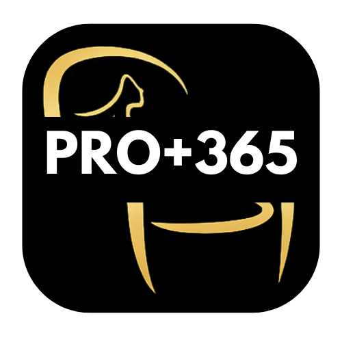 PRO+ Anual